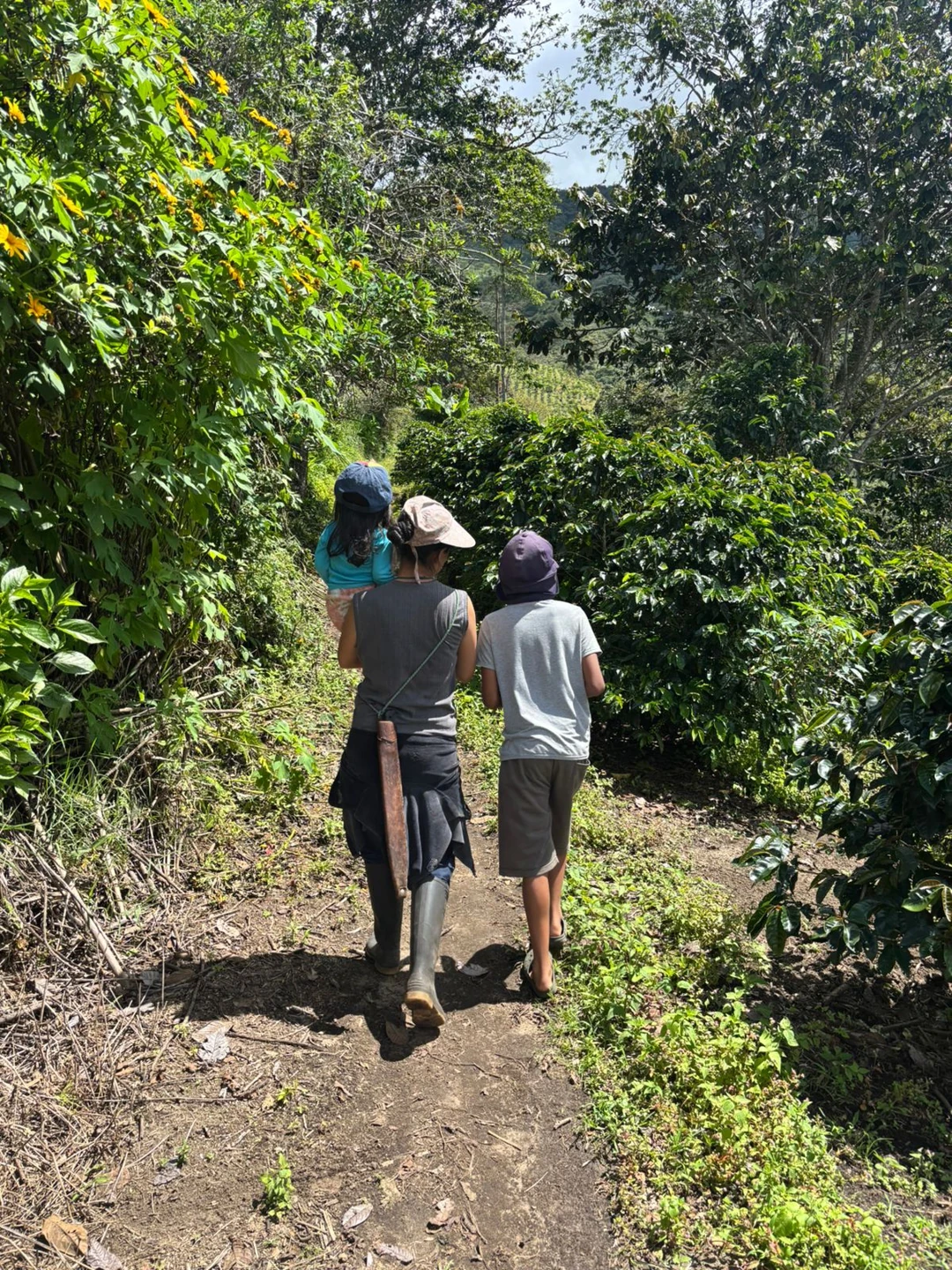 Mujeres cafeteras recorren su finca